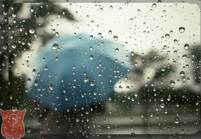 STIŽE PROMJENA VREMENA U BiH: Kiša, grmljavina i osjetan pad temperatura STIŽE PROMJENA VREMENA U BiH: Kiša, grmljavina i osjetan pad temperatura