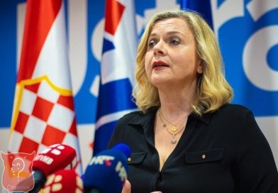 Zovko u Europskom parlamentu o BiH: Potrebne reforme i jasnija vizija europske budućnosti Zovko u Europskom parlamentu o BiH: Potrebne reforme i jasnija vizija europske budućnosti