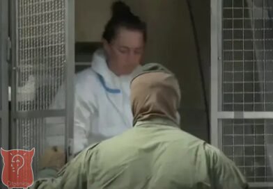 Četvero osumnjičenih za izazivanje 10 požara završilo u istražnom zatvoru