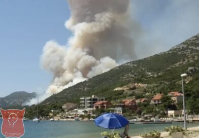 Mladić iz Bosne i Hercegovine priznao podmetanje požara u Hrvatskoj, otkrio je i motiv