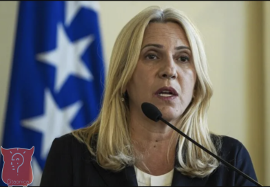 “POLA GODINE PREKASNO”: Blagojević o Cvijanovićkinom potezu koji sada dolazi pred Ustavni sud BiH