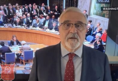 Puljić o sjednici Vijeća sigurnosti UN-a: Rusija nije protiv produženja mandata EUFOR-a, iznenadio američki istup